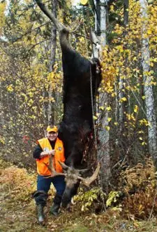 Successful moose hunting