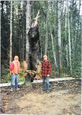 Successful moose hunting